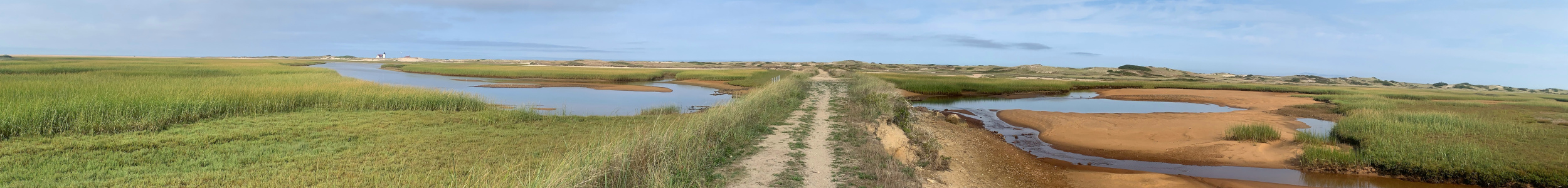 A beautiful marsh in Provincetown, MA